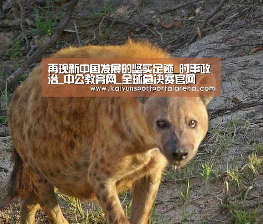 再现新中国发展的坚实足迹_时事政治_中公教育网_全球总决赛官网(图3) LOL世界赛官网