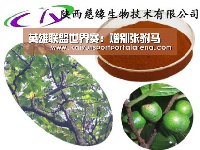 英雄联盟世界赛：赠别张驸马